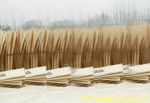 ��ľƤ�ӵ�Ԕ��(x��)��B