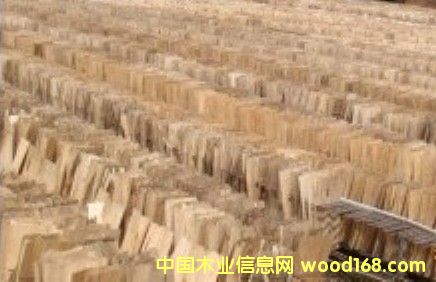 Ƥ�ӆΰ��Ԕ��(x��)��B