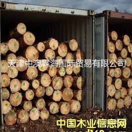 �W�ɵ�Ԕ��(x��)��B