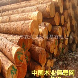 ���~��1��Ԕ��(x��)��B