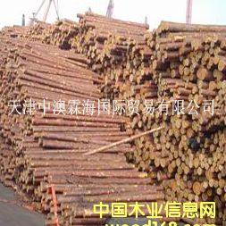 ���~�ɵ�Ԕ��(x��)��B