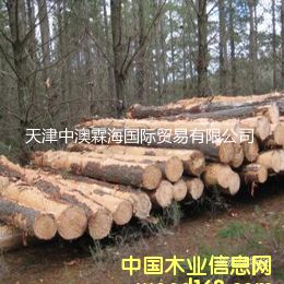 �W��1��Ԕ��(x��)��B