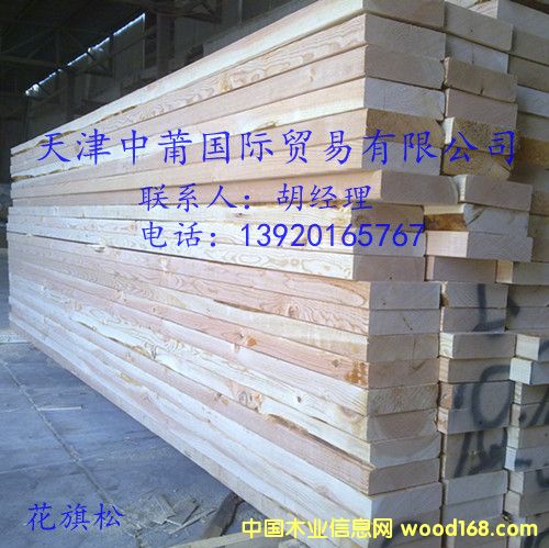 �����ɵ�Ԕ��(x��)��B