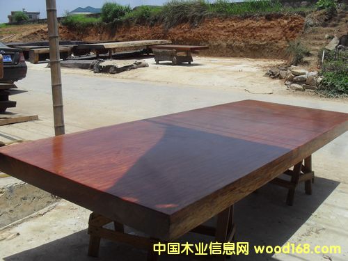 ��������ľ��Ԕ����B