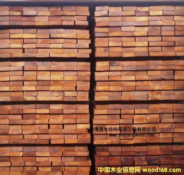 菠蘿格1的詳細(xì)介紹