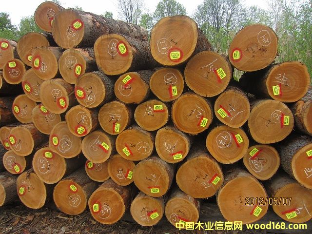 ����(gu��)����ԭľ��Ԕ��(x��)��B