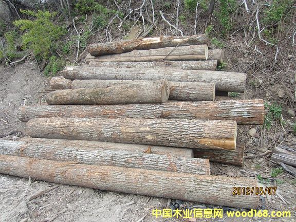 ����(gu��)�ľԭľ��Ԕ��(x��)��B