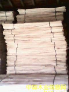 ��ľƤ��Ԕ����B