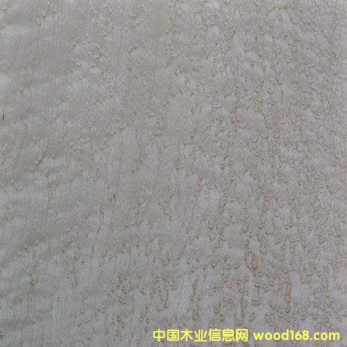 ��ľȸ��ľƤ��Ԕ����B