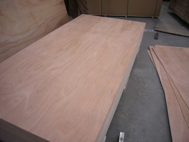 ��ľ����z�ϰ��Ԕ��(x��)��B