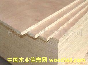 ��ľ�z�ϰ��Ԕ��(x��)��B