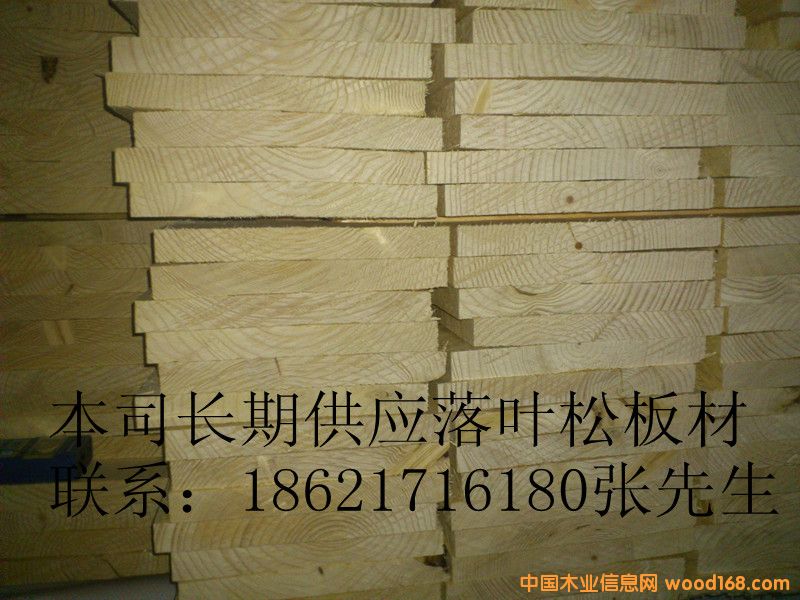 落葉松的詳細(xì)介紹