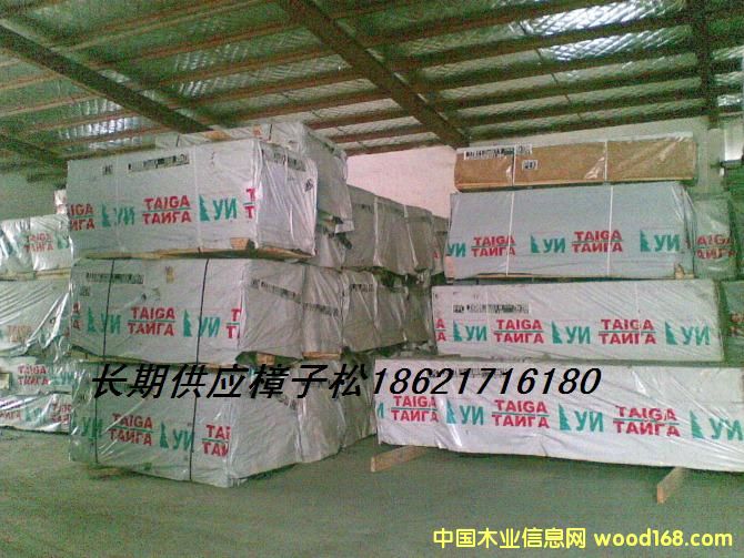 樟子松的詳細(xì)介紹