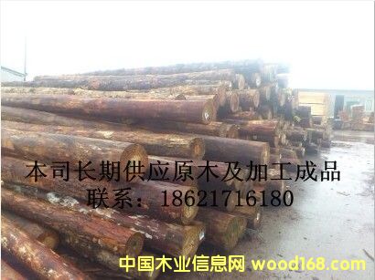 原木的詳細(xì)介紹