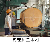 50�Ԅӎ�䏵�Ԕ��(x��)��B