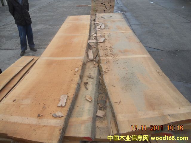 ��ľë߅���Ԕ����B