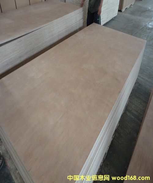 Ⱥ�����Ӱ�12mm��Ԕ����B