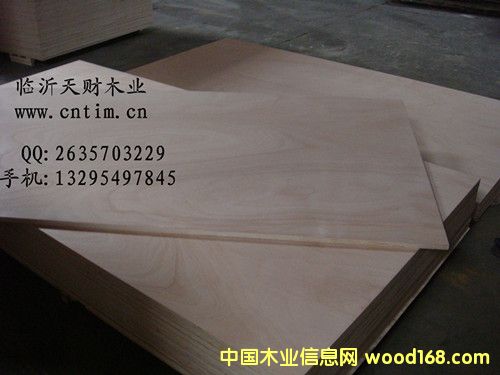 �W�����N���z�ϰ�/�Ҿ߰��Ԕ����B