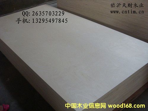 ��ľ�N���z�ϰ�/�Ҿ߰��Ԕ����B