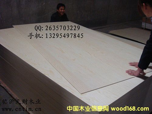 ��ľ�N���z�ϰ�/�Ҿ߰��Ԕ����B