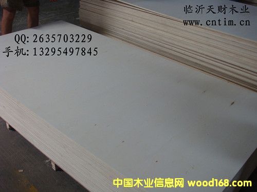 �ذ��N���z�ϰ�/�Ҿ߰��Ԕ����B