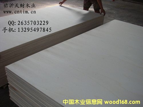 �ذ��N���z�ϰ�/�Ҿ߰��Ԕ����B