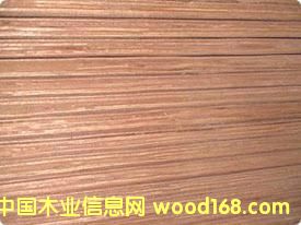 �z�ϰ��Ԕ����B