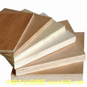 Poplar Plywood2��Ԕ����B