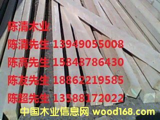 ���_˹�����ɰ�ķ��ϣ�����