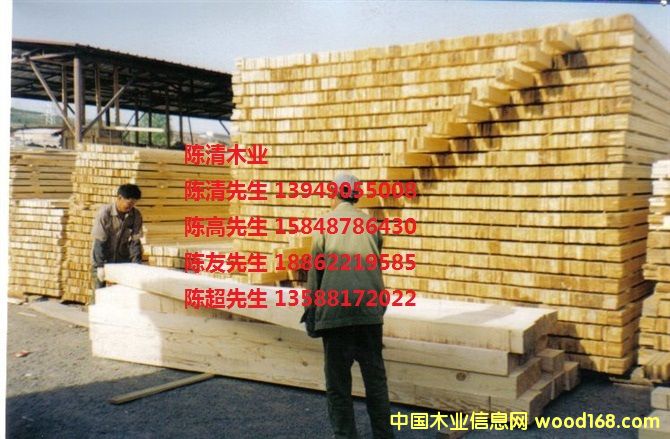 �����ɷ���ľ���S�⣩��Ԕ��(x��)��B