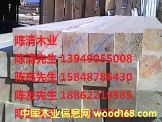 ���_˹�����ɰ�ķ��ϣ�һ��