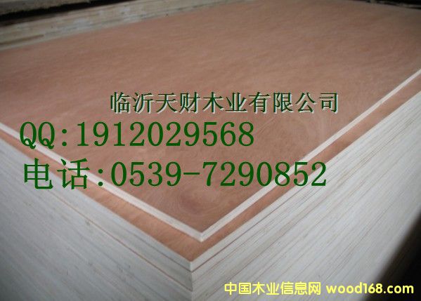 �t�������z�ϰ��Ԕ����B