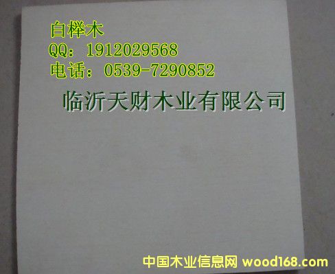 �t����י����z�ϰ��Ԕ����B