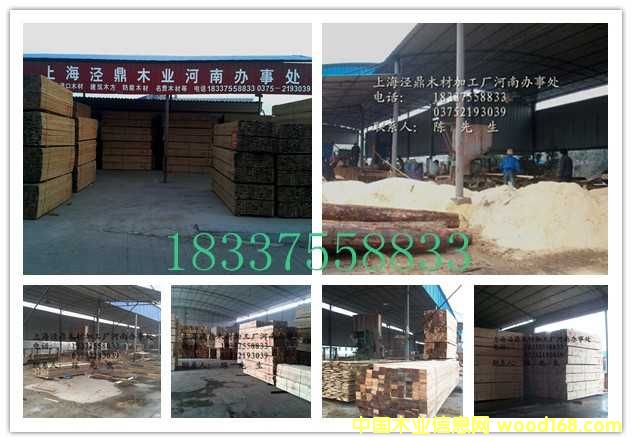 ����ľ�������̿���������ľ��