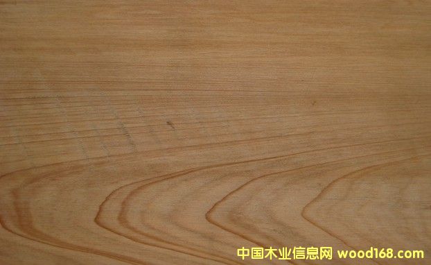 ���ô��S�uľ��Ԕ����B