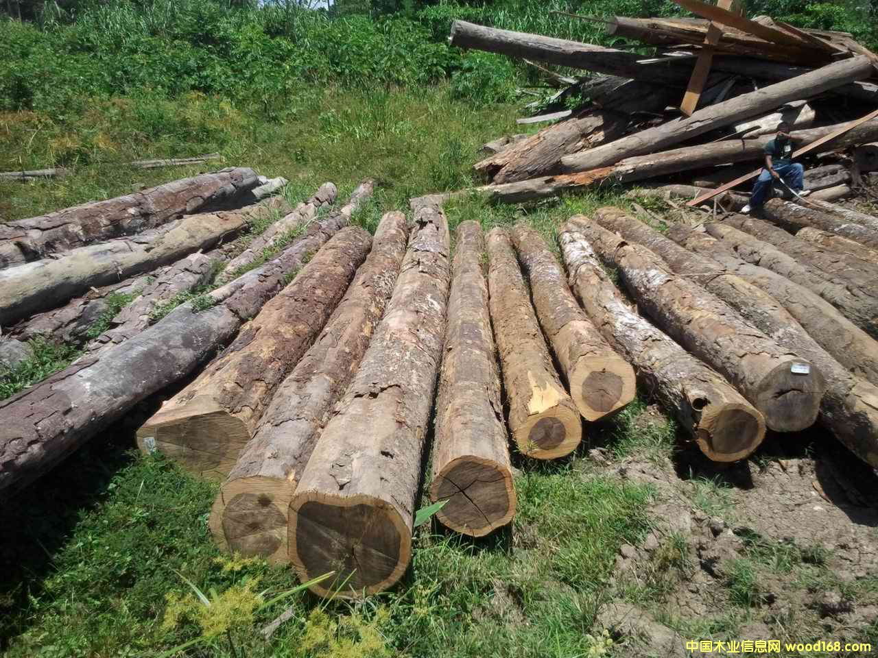 �Fľ����Ԕ��(x��)��B