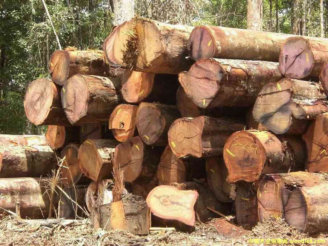 �sӲľ��Ԕ��(x��)��B