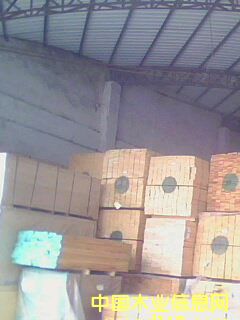 �����ɵ�Ԕ��(x��)��B