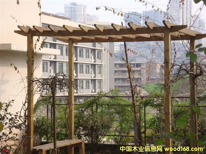 ����ľ���ܵ�Ԕ����B