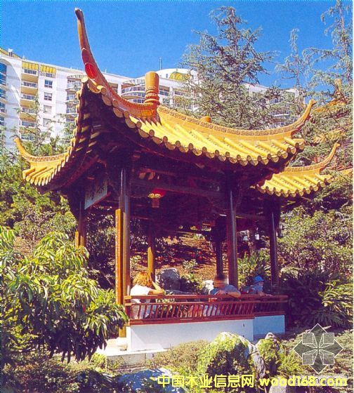 ����ľ��Ԕ��(x��)��B