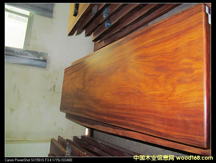 ���޲��}�����Ԕ��(x��)��B