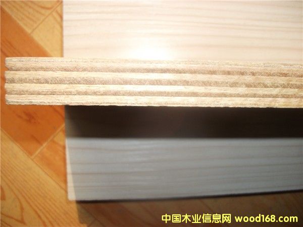 �������B(t��i)���Ԕ����B