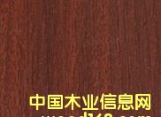 ���B(t��i)����ɳ������Ԕ��(x��)��B