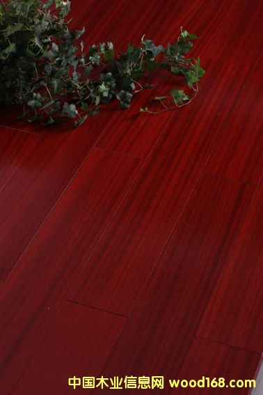 �·ƹ���(y��ng)��(y��u)�|(zh��)ɳ������(sh��)ľ��(f��)�ϵذ��Ԕ��(x��)��B