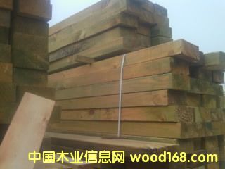 [��] �����ɿ۰�