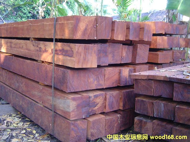 쳝�(j��)�һ�о��ĵ�Ԕ��(x��)��B