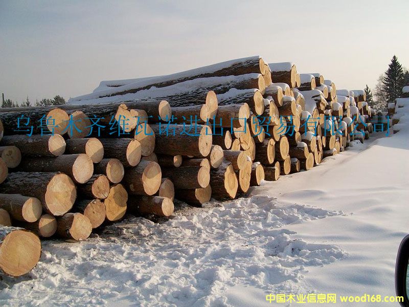 ���_˹�M(j��n)��ԭľ��Ԕ��(x��)��B