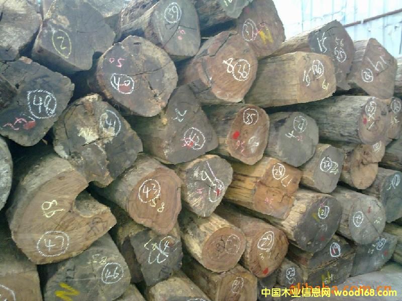 �M(j��n)��ӡ���K��������ľ/����������̴ԭľ�M(j��n)�ڈ�(b��o)�P(gu��n)��Ԕ��(x��)��B