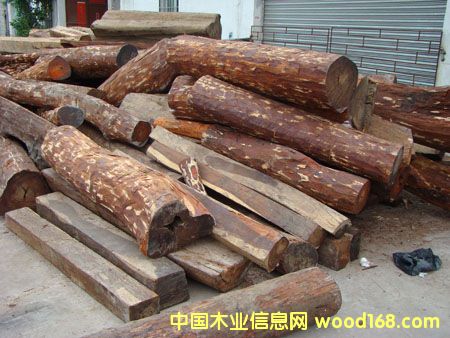 �M(j��n)�ږ|�ρ��R����/��˼ľacaciaԭľľ���M(j��n)�ڈ�(b��o)�P(gu��n)��Ԕ��(x��)��B