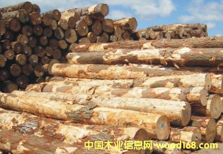 �����mݗ����ԭľ��Ԕ����B